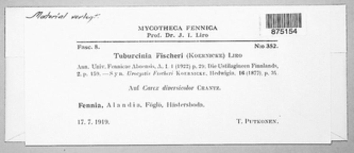 Tuburcinia fischeri image